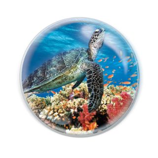 Obrázek z Magnet kulatý 5cm - mořská želva (12) 